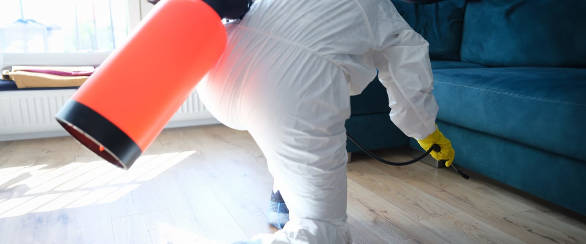 Navigating Short Sales and Mold Damage in Pasco, WA