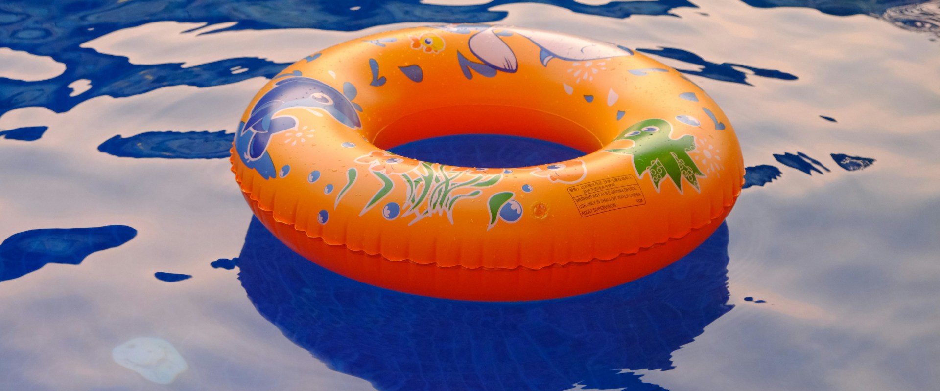 Swimming Pool Remodel in San Jose, CA Inspired by Short Sale Real Estate Insights