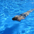 Enhance Your Alameda County Property with Expert Pool Design